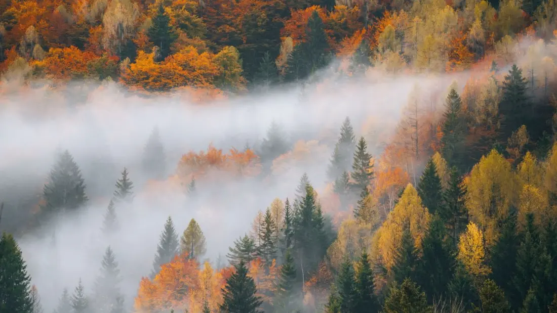 How to Mark the Autumn Equinox 2026: Wellness Retreats, Bat Walks and Moonlit Rituals Across the UK