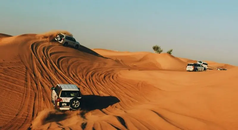 Six desert safari operators in Dubai, from budget dune bashing to conservation-reserve luxury