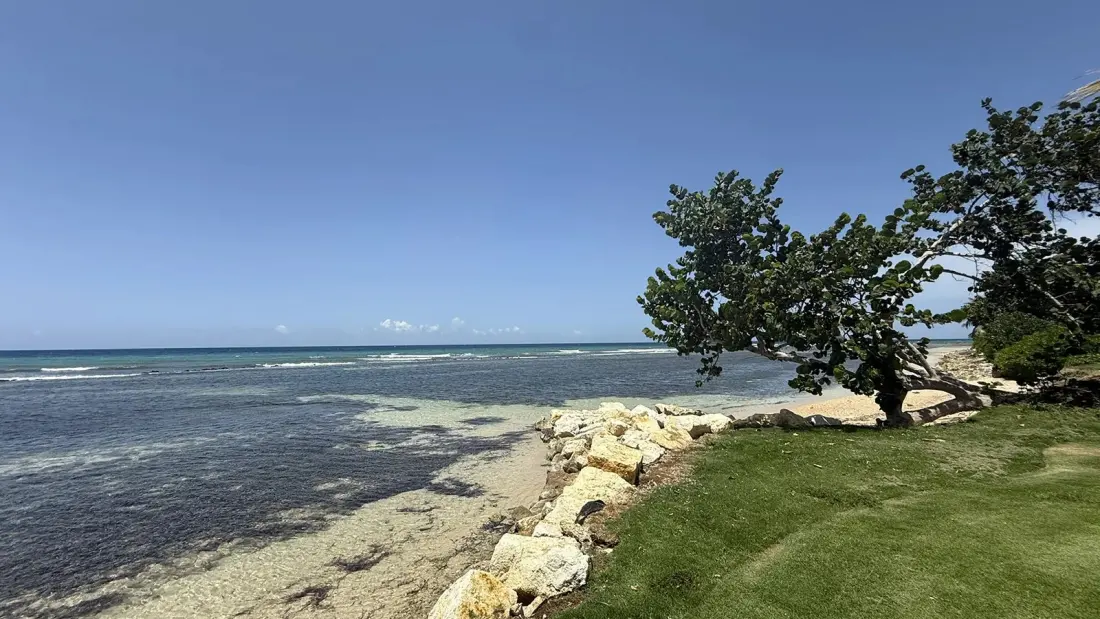 Jamaica Is Drawing Huge Crowds With Only 70% of Its Hotel Rooms Open