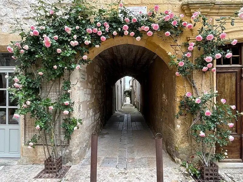 Dordogne: why southwest France's truffle country is a magnet for expats