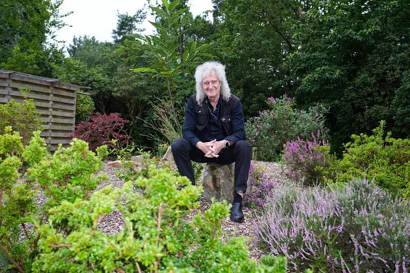 Brian May's Wood: the Queen guitarist who planted 100,000 trees on a former Dorset farm