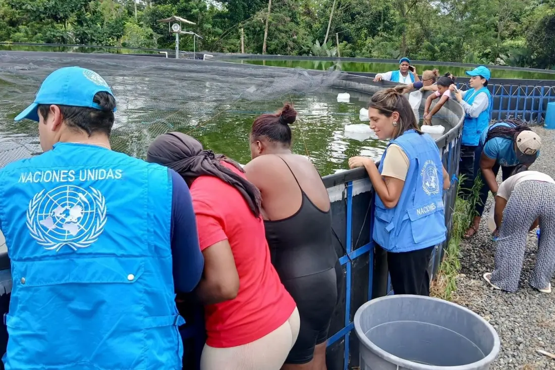 Colombia Takes Its Peace Agreement Scorecard to the UN Security Council