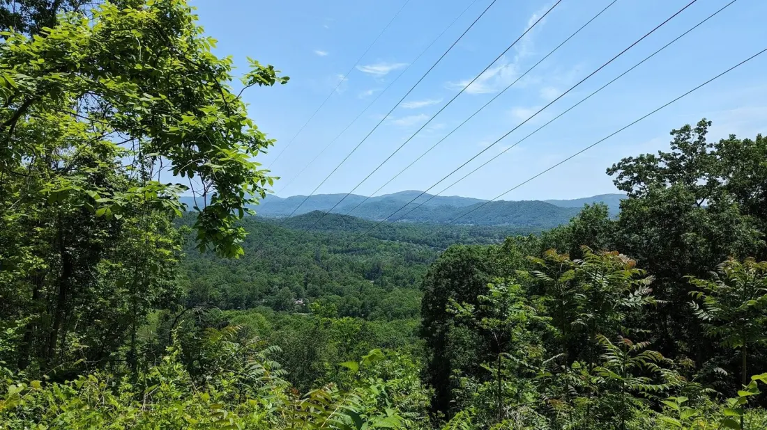 Collier Cove Nature Preserve: Asheville's Quiet 29-Acre Hiking Escape