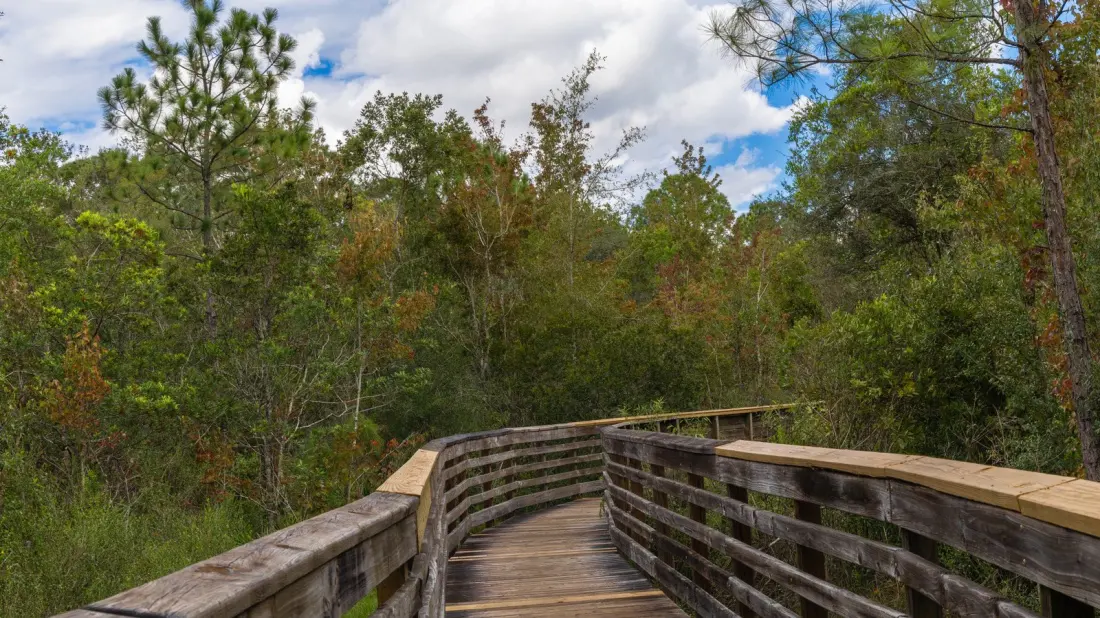 Tampa's Free 122-Acre Nature Park Has Boardwalks, Bobcats and a Zipline