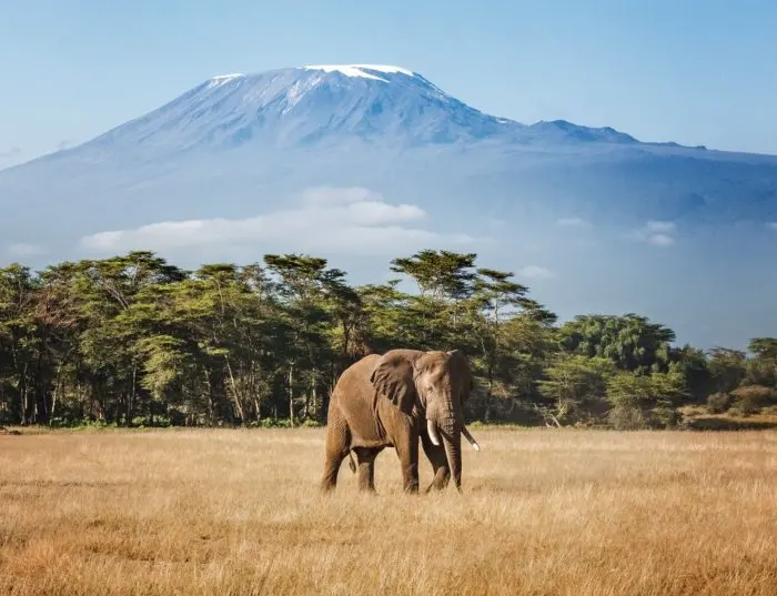 British Airways adds Kilimanjaro and Zanzibar flights from London for summer 2027