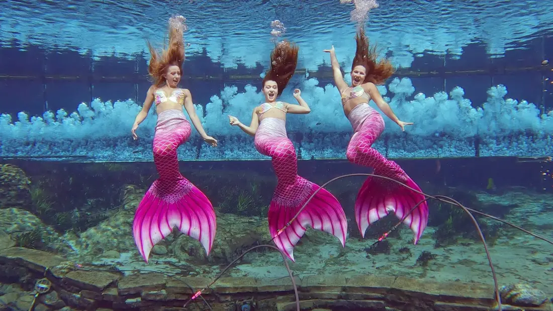 Inside Weeki Wachee: What It Really Takes to Become a Florida Mermaid