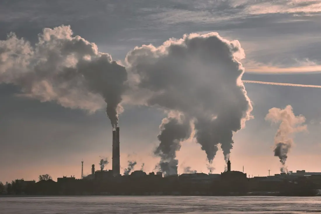 Air quality and mental health: new research links pollution to suicide risk
