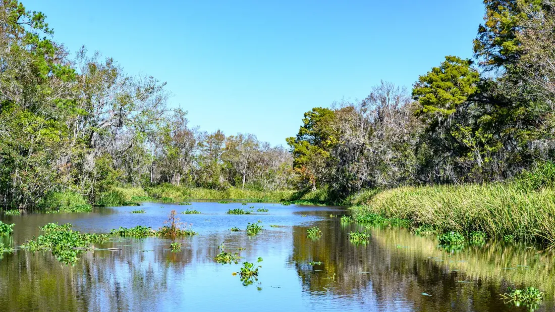 Ramsey Grove State Park: South Carolina's Quiet New Riverside Escape Between Charleston and Myrtle Beach