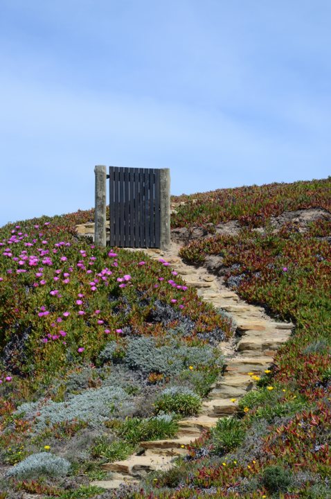Porto Covo's 'Gate to Heaven' Leads Nowhere — and That's the Point