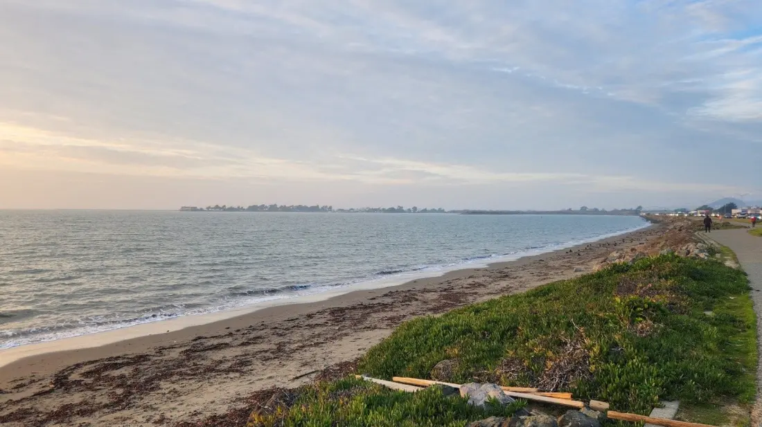 From Landfill to State Seashore: The Bay Trail Park 30 Minutes from San Francisco