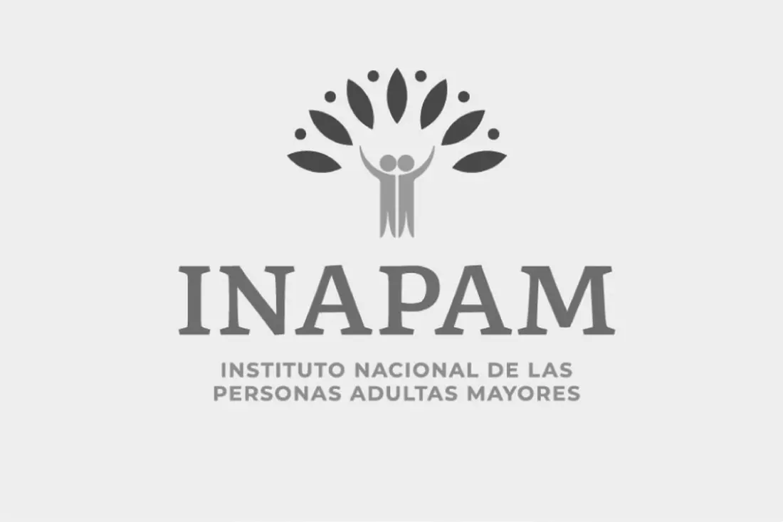 Mexico's INAPAM Senior Discount Card Is Quietly Closing to Foreign Residents