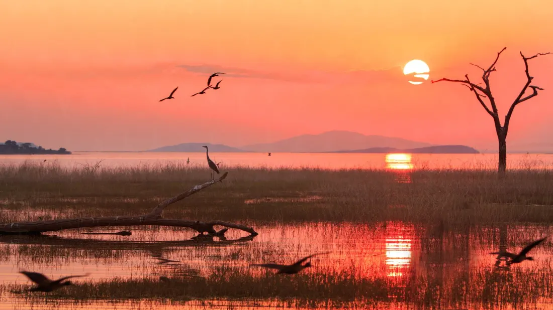 Lake Kariba: The World's Largest Man-Made Lake Is a Safari and Fishing Paradise