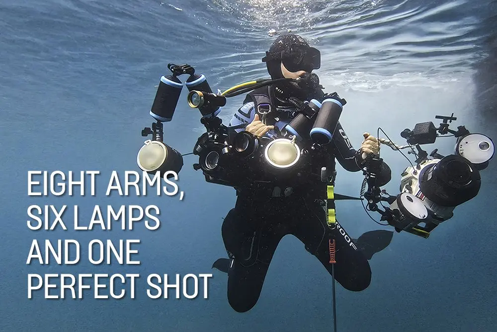 Why Lembeh Strait's black sand muck diving is a macro photographer's dream