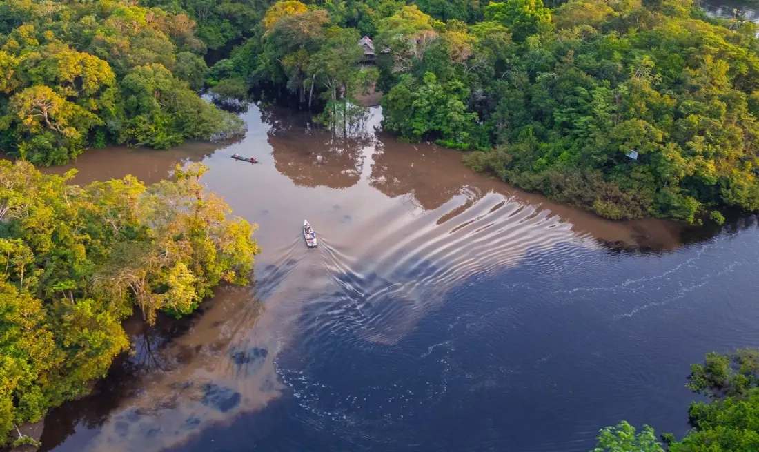 Luxury Amazon Cruising in Peru: What to Know Before You Book a River Expedition