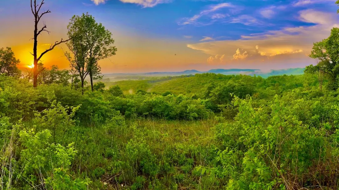 Glade Top Trail: Missouri's Only National Forest Scenic Byway, an Hour From Branson
