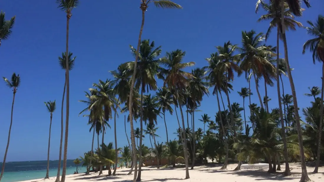 Canadians Are Heading to the Dominican Republic in Big Numbers — And New Winter Flights Prove It
