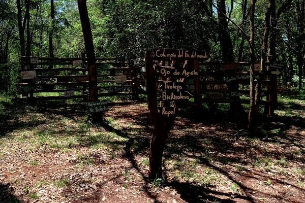 Museo del Árbol: Paraguay's Forest Where Trees Are the Exhibition